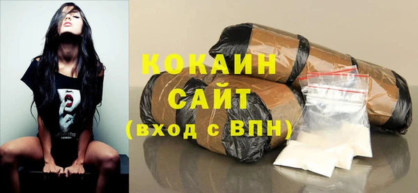 шишки Арсеньев