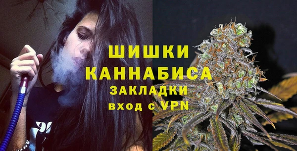 шишки Арсеньев
