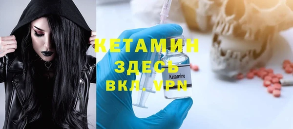 шишки Арсеньев