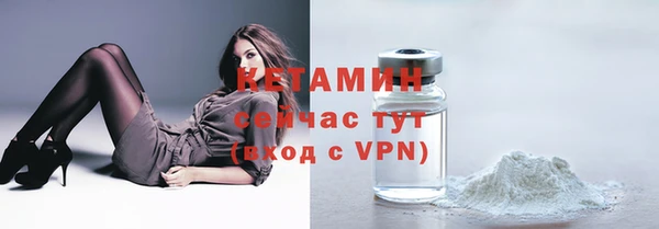 шишки Арсеньев