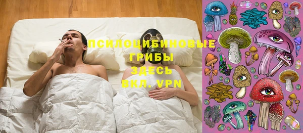 шишки Арсеньев