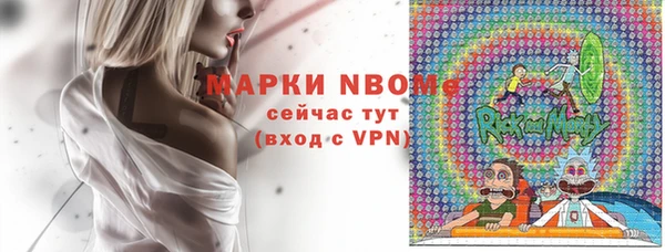 шишки Арсеньев