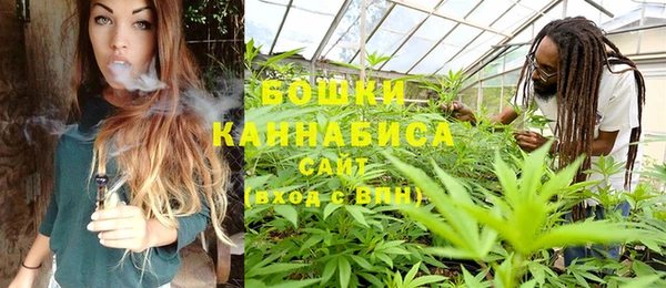 шишки Арсеньев
