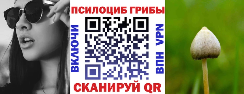 купить наркотики цена  Старица  Псилоцибиновые грибы прущие грибы 