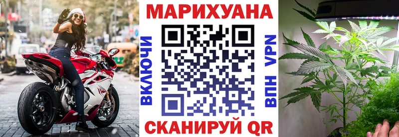 магазин продажи   Старица  блэк спрут как войти  Бошки марихуана марихуана 